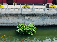 -北京市劳动人民文化宫(太庙)