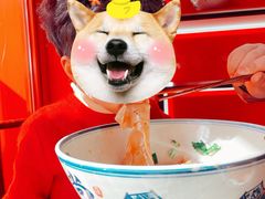 油泼面-尚寨嫽扎咧面馆(钟楼店)
