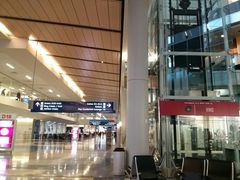 -达拉斯 沃斯堡国际机场