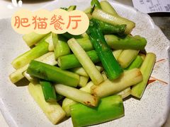 -肥猫(义乌万达店)