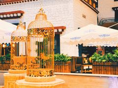 -拉萨圣地天堂洲际大饭店-自助餐厅