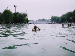 -柳浪游泳场