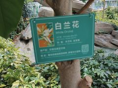 -南宫五洲植物乐园