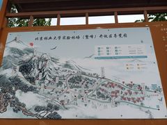 -北京鹫峰国家森林公园