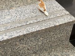 -娘心豆品(方庄店)