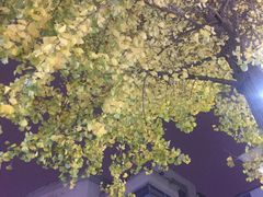 -五洲国际广场(文峰路店)