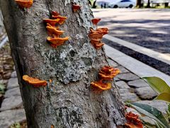 -雁荡山灵峰景区