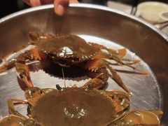 -青蓬蒸汽海鲜·深圳老字号·团建聚会(壹方城店)