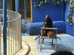 -昆明动物园