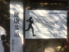 -黄葛古道