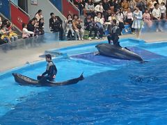 -海合安成都极地海洋公园
