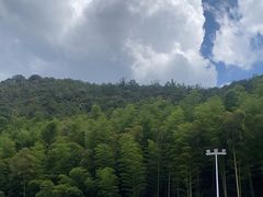 -莫干山风景区