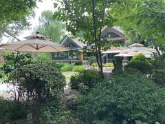 -静安公园(静安寺街道)