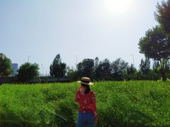 -长白岛森林公园