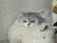 -道合堂·中式按摩·spa(民治店)