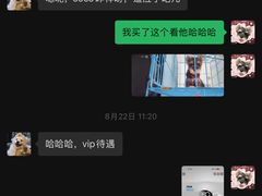 -翊宠yipet猫狗购宠庄园犬舍•猫舍