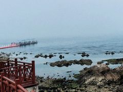 -养马岛旅游度假区