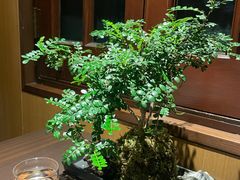 -无味舒食(思南公馆店)