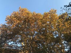 -三好坞景观餐厅