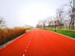-上海山野camping·户外天幕烧烤·团建拓展营地