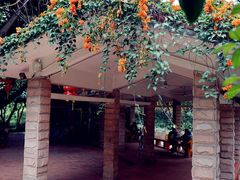 -云溪植物园