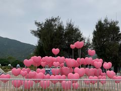 -西涌国际滨海旅游区