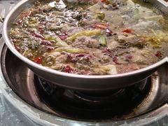 -韩妹鱼庄·泸定老字号(泸定店)