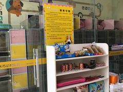-米苏动物医院·犬猫专科·骨科外科内窥镜