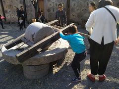 -千年银杏谷文化旅游区