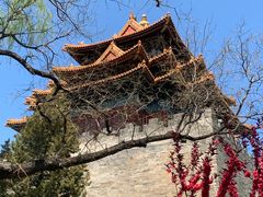 -东华门大街小区