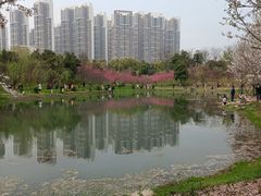 -堤角公园