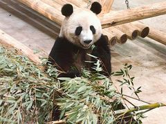 -杭州动物园