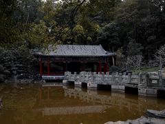 -深圳国际园林花卉博览园