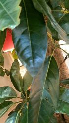 -艺米阳光Hair Salon