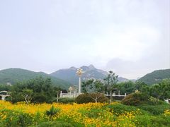 -泰山风景名胜区