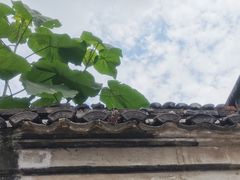 -鸣鹤古镇