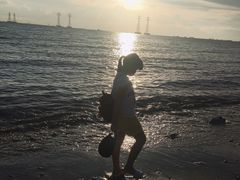 -宝安西湾红树林湿地公园