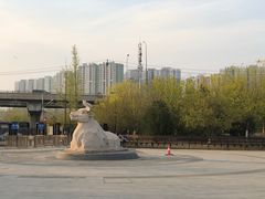 -永定河休闲森林公园