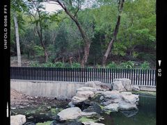 -白水寺森林公园