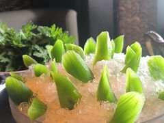 -东来顺·非遗火锅(赛格国际购物中心店)