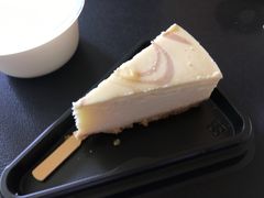 -瑞穗牧场