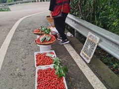 -樱桃山旅游景区