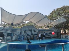 -泉州海丝野生动物世界