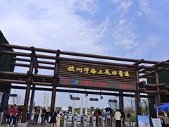 -杭州湾海上花田景区