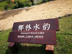 -沙美村