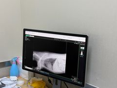 -爱妮康宠物医院·干细胞免疫细胞·肿瘤·心脏(张江店)