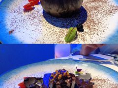 -天玑高空江景餐厅&酒吧Sky Secret Restaurant&Bar