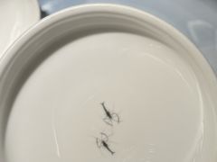 -点心传说·粤菜点心(佐阾虹湾店)