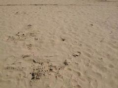 -金梦海湾浴场