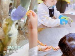 -MR.ZOO小小动物元室内动物园(沈阳沈河盛京中心)